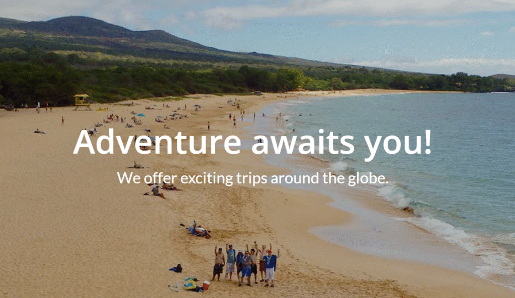Google Call Ads for cruise packages